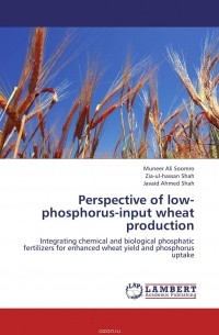  - Perspective of low-phosphorus-input wheat production