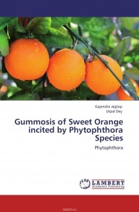  - Gummosis of Sweet Orange incited by Phytophthora Species