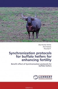  - Synchronization protocols for buffalo heifers for enhancing fertility