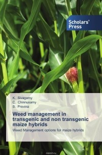 Weed management in transgenic and non transgenic maize hybrids