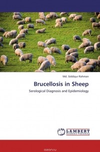 Md. Siddiqur Rahman - Brucellosis in Sheep