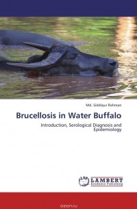 Md. Siddiqur Rahman - Brucellosis in Water Buffalo