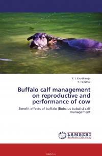  - Buffalo calf management on reproductive and performance of cow
