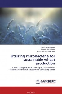  - Utilizing rhizobacteria for sustainable wheat production