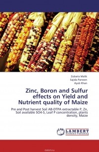  - Zinc, Boron and Sulfur effects on Yield and Nutrient quality of Maize