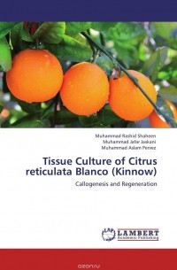  - Tissue Culture of Citrus reticulata Blanco (Kinnow)