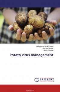  - Potato virus management