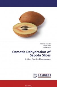  - Osmotic Dehydration of Sapota Slices