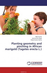  - Planting geometry and pinching in African marigold (Tagetes erecta L.)