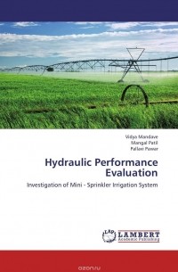  - Hydraulic Performance Evaluation