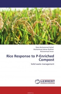 Rice Response to P-Enriched Compost