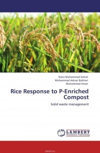  - Rice Response to P-Enriched Compost