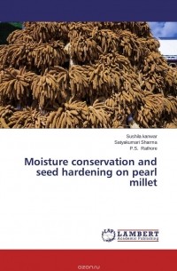  - Moisture conservation and seed hardening on pearl millet