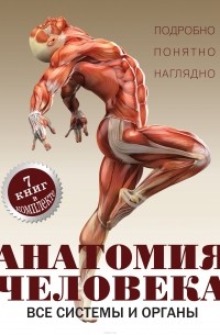 Анатомия человека. Все системы и органы