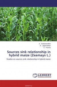  - Sources sink relationship in hybrid maize (Zeamays L.)