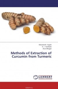  - Methods of Extraction of Curcumin from Turmeric