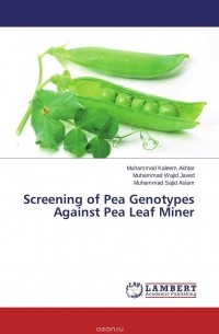  - Screening of Pea Genotypes Against Pea Leaf Miner