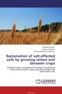  - Reclamation of salt-affected soils by growing wheat and berseem crops