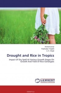  - Drought and Rice in Tropics