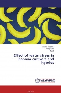  - Effect of water stress in banana cultivars and hybrids