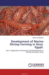Mohamed Megahed - Development of Marine Shrimp Farming in Sinai, Egypt