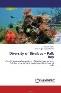  - Diversity of Bivalves – Palk Bay
