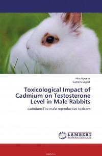  - Toxicological Impact of Cadmium on Testosterone Level in Male Rabbits
