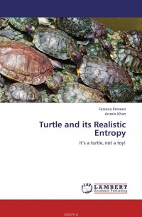  - Turtle and its Realistic Entropy