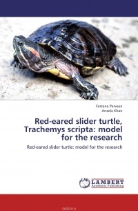  - Red-eared slider turtle, Trachemys scripta: model for the research