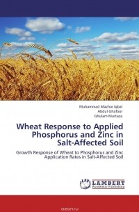  - Wheat Response to Applied Phosphorus and Zinc in Salt-Affected Soil