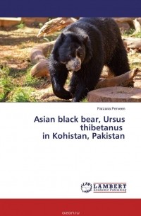 FARZANA PERVEEN - Asian black bear, Ursus thibetanus in Kohistan, Pakistan
