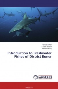  - Introduction to Freshwater Fishes of District Buner