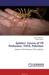 - Spiders’ Fauna of FR Peshawar, FATA, Pakistan