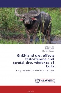  - GnRH and diet effects testosterone and  scrotal circumference of bulls