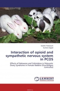  - Interaction of opioid and sympathetic nervous system in PCOS