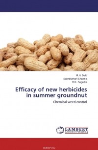 - Efficacy of new herbicides in summer groundnut