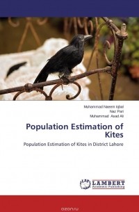  - Population Estimation of Kites