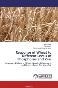  - Response of Wheat to Different Levels of Phosphorus and Zinc