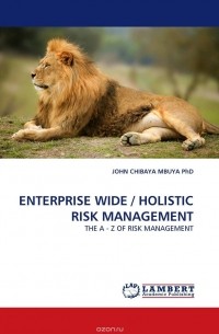 JOHN CHIBAYA MBUYA  PhD - ENTERPRISE WIDE / HOLISTIC RISK MANAGEMENT