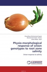  - Physio-morphological response of onion genotypes to root zone salinity