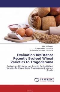 Evaluation Resistance Recently Evolved Wheat Varieties to Trogoderama