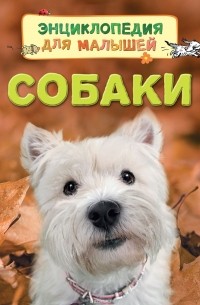 Собаки