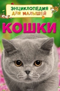 Кошки