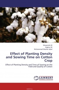  - Effect of Planting Density and Sowing Time on  Cotton Crop