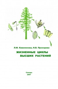 Цикл высших растений. Кавеленова Людмила Михайловна САМГУ. Кавеленова Людмила Михайловна. Кавеленова Людмила. Кавеленова Самарский университет.