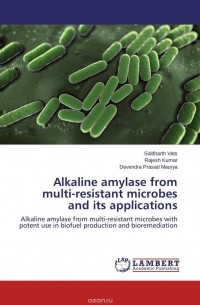Alkaline amylase from multi-resistant microbes and its applications