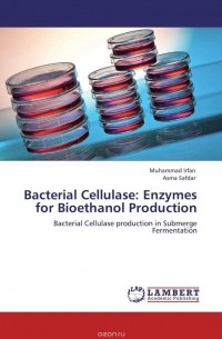  - Bacterial Cellulase: Enzymes for Bioethanol Production