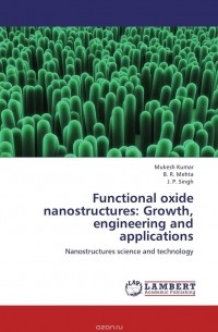  - Functional oxide nanostructures: Growth, engineering and applications