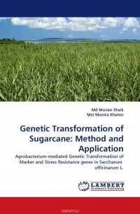  - Genetic Transformation of Sugarcane: Method and Application