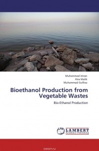  - Bioethanol Production from Vegetable Wastes